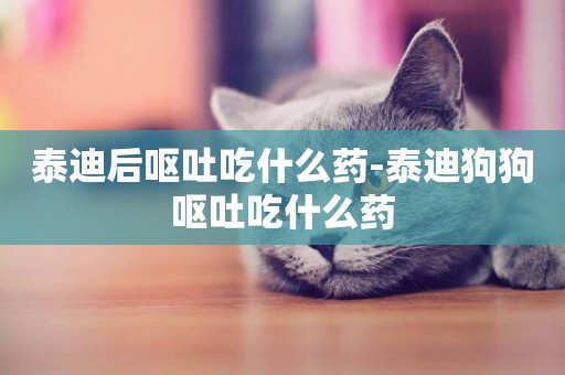 泰迪后嘔吐吃什么藥-泰迪狗狗嘔吐吃什么藥