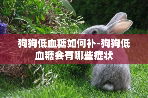 狗狗低血糖如何補-狗狗低血糖會有哪些癥狀