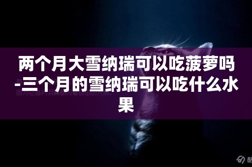 兩個月大雪納瑞可以吃菠蘿嗎-三個月的雪納瑞可以吃什么水果