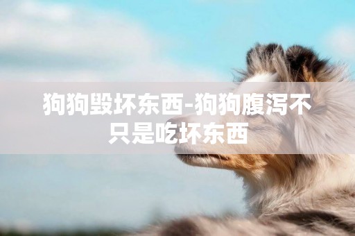狗狗毀壞東西-狗狗腹瀉不只是吃壞東西