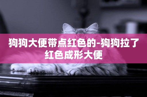 狗狗大便帶點紅色的-狗狗拉了紅色成形大便