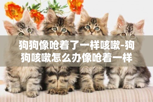 狗狗像嗆著了一樣咳嗽-狗狗咳嗽怎么辦像嗆著一樣