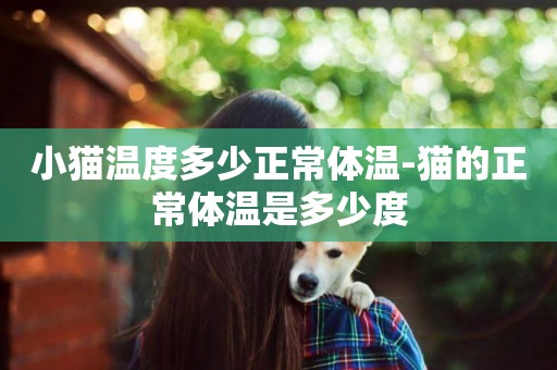小貓溫度多少正常體溫-貓的正常體溫是多少度