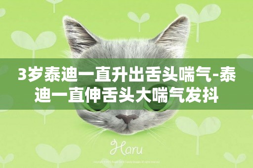 3歲泰迪一直升出舌頭喘氣-泰迪一直伸舌頭大喘氣發抖