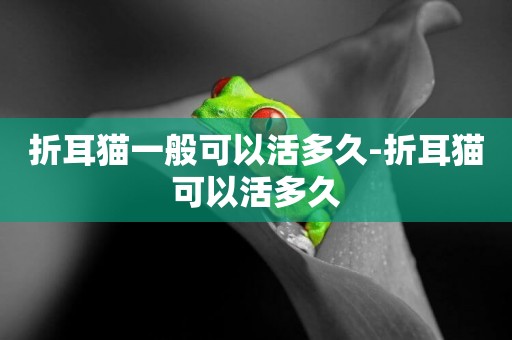 折耳貓一般可以活多久-折耳貓可以活多久