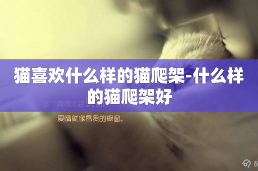 貓喜歡什么樣的貓爬架-什么樣的貓爬架好