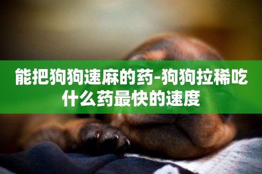 能把狗狗速麻的藥-狗狗拉稀吃什么藥最快的速度
