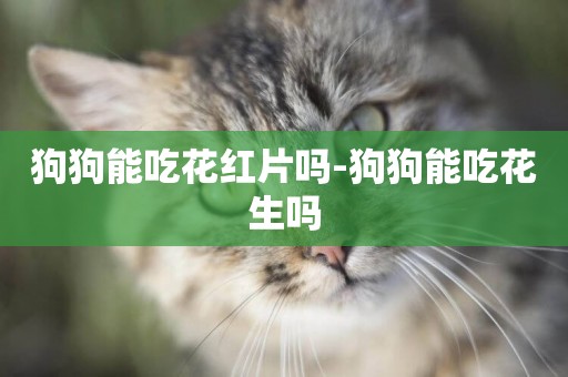 狗狗能吃花紅片嗎-狗狗能吃花生嗎