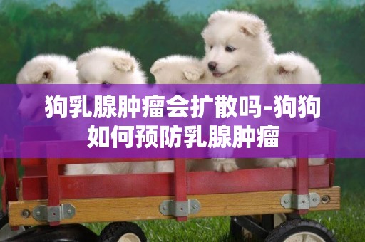 狗乳腺腫瘤會擴散嗎-狗狗如何預防乳腺腫瘤