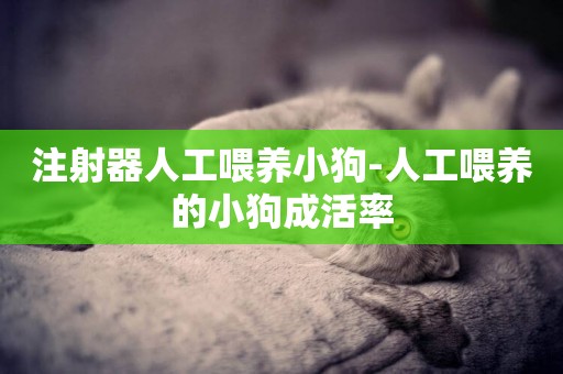 注射器人工喂養小狗-人工喂養的小狗成活率