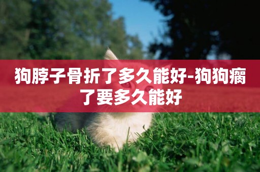 狗脖子骨折了多久能好-狗狗瘸了要多久能好
