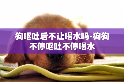 狗嘔吐后不讓喝水嗎-狗狗不停嘔吐不停喝水