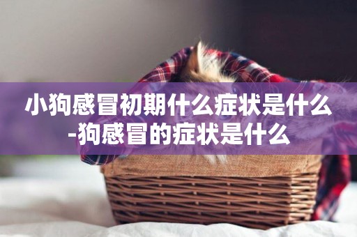小狗感冒初期什么癥狀是什么-狗感冒的癥狀是什么