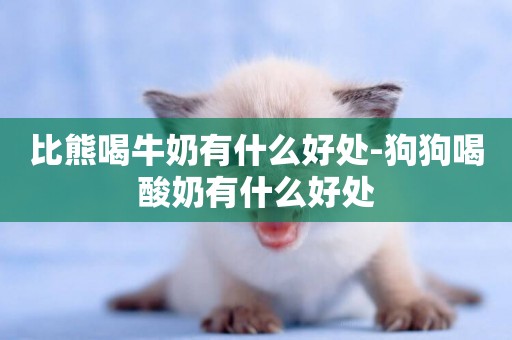 比熊喝牛奶有什么好處-狗狗喝酸奶有什么好處