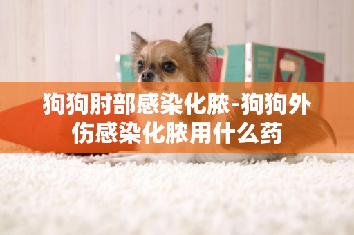 狗狗肘部感染化膿-狗狗外傷感染化膿用什么藥