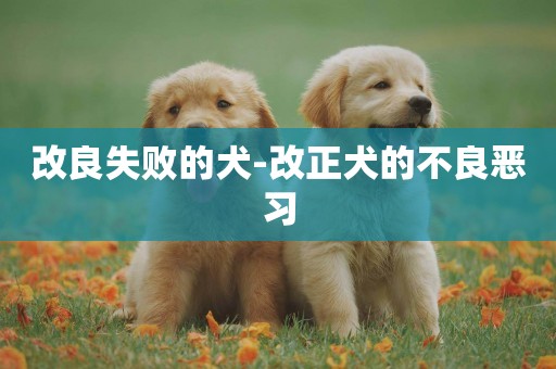 改良失敗的犬-改正犬的不良惡習