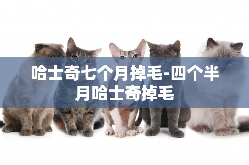 哈士奇七個月掉毛-四個半月哈士奇掉毛