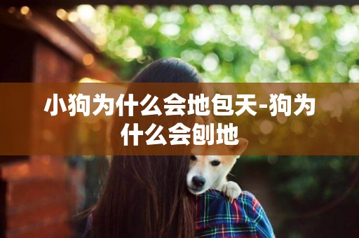 小狗為什么會地包天-狗為什么會刨地