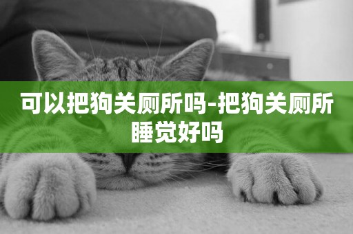 可以把狗關廁所嗎-把狗關廁所睡覺好嗎