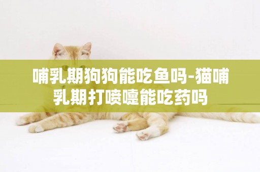哺乳期狗狗能吃魚嗎-貓哺乳期打噴嚏能吃藥嗎