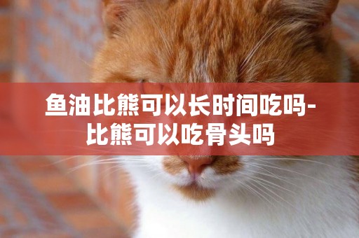 魚油比熊可以長時間吃嗎-比熊可以吃骨頭嗎