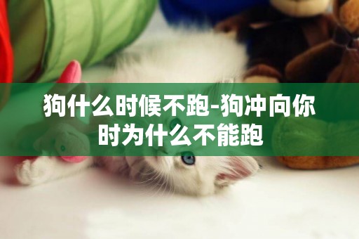 狗什么時候不跑-狗沖向你時為什么不能跑