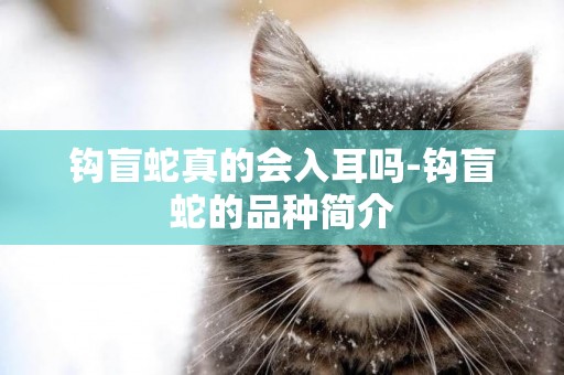 鉤盲蛇真的會入耳嗎-鉤盲蛇的品種簡介
