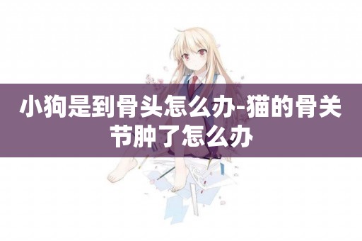 小狗是到骨頭怎么辦-貓的骨關節腫了怎么辦
