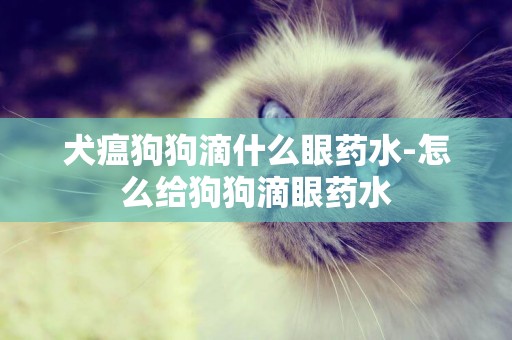犬瘟狗狗滴什么眼藥水-怎么給狗狗滴眼藥水
