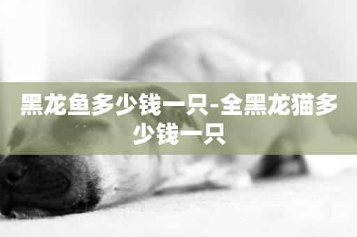 黑龍魚多少錢一只-全黑龍貓多少錢一只