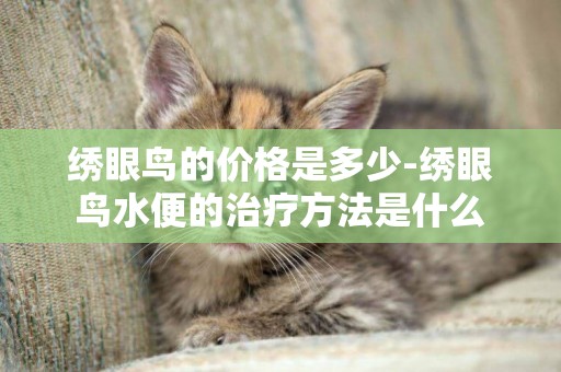 繡眼鳥的價格是多少-繡眼鳥水便的治療方法是什么