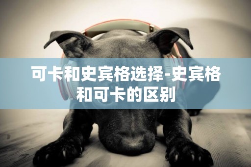 可卡和史賓格選擇-史賓格和可卡的區別