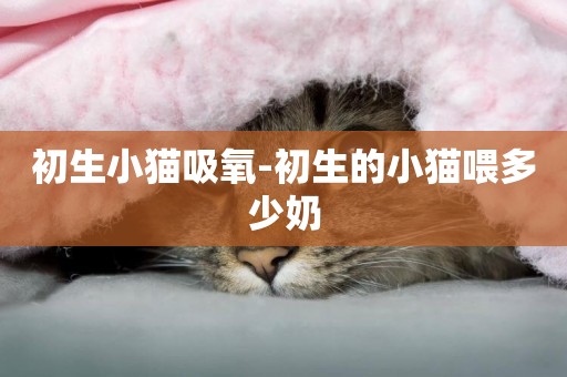 初生小貓吸氧-初生的小貓喂多少奶