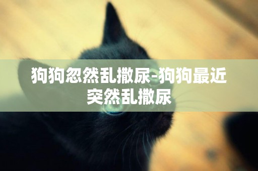 狗狗忽然亂撒尿-狗狗最近突然亂撒尿