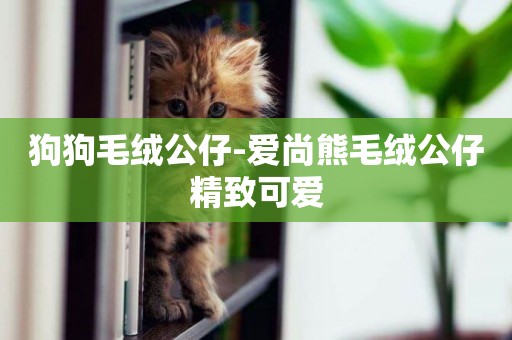 狗狗毛絨公仔-愛尚熊毛絨公仔精致可愛