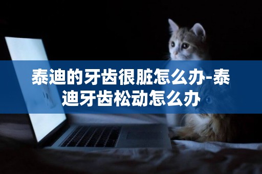 泰迪的牙齒很臟怎么辦-泰迪牙齒松動怎么辦