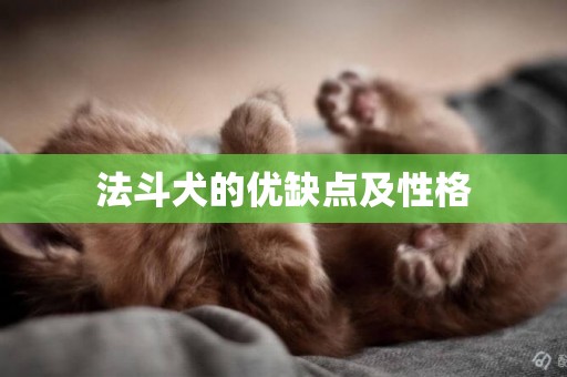 法斗犬的優缺點及性格