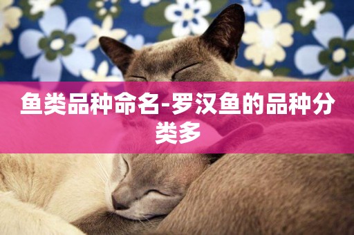 魚類品種命名-羅漢魚的品種分類多