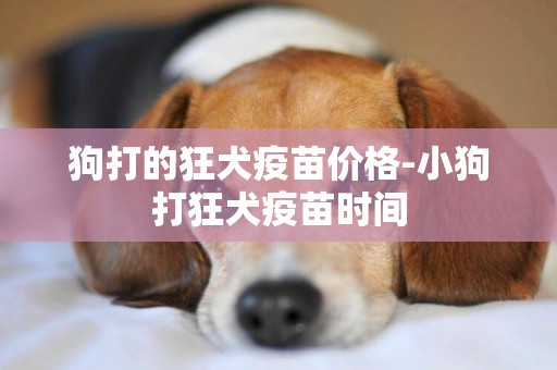 狗打的狂犬疫苗價格-小狗打狂犬疫苗時間