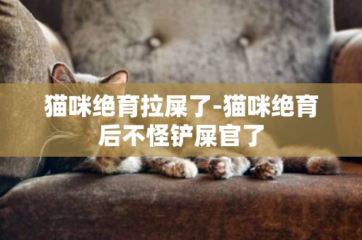 貓咪絕育拉屎了-貓咪絕育后不怪鏟屎官了