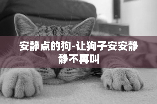 安靜點的狗-讓狗子安安靜靜不再叫