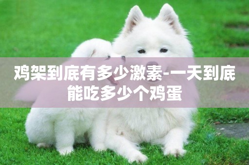 雞架到底有多少激素-一天到底能吃多少個雞蛋