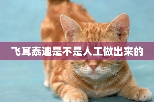 飛耳泰迪是不是人工做出來的