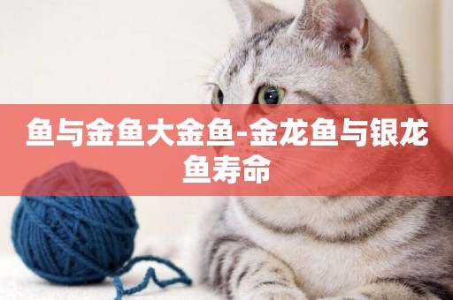 魚與金魚大金魚-金龍魚與銀龍魚壽命