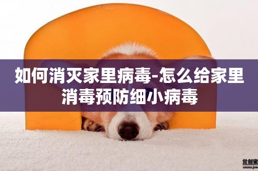 如何消滅家里病毒-怎么給家里消毒預防細小病毒