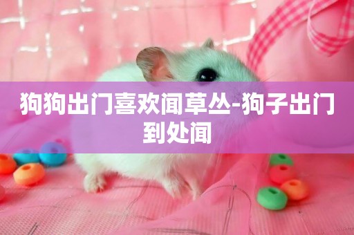 狗狗出門喜歡聞草叢-狗子出門到處聞