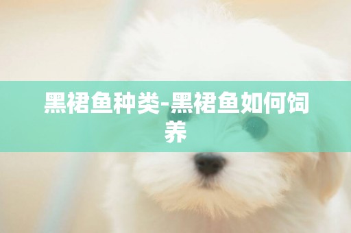 黑裙魚種類-黑裙魚如何飼養