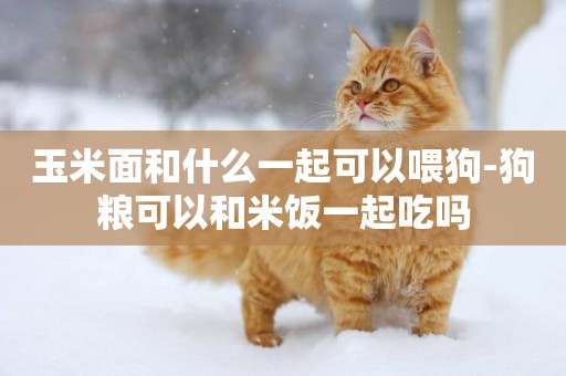 玉米面和什么一起可以喂狗-狗糧可以和米飯一起吃嗎
