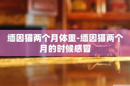 緬因貓兩個月體重-緬因貓兩個月的時候感冒