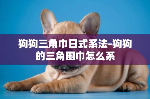 狗狗三角巾日式系法-狗狗的三角圍巾怎么系